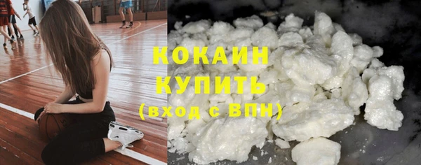 сатива Вязьма
