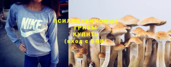 круглые Вяземский