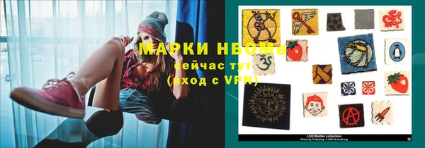 сатива Вязьма