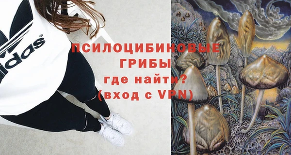 сатива Вязьма