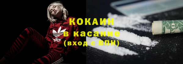 спайс Кирсанов