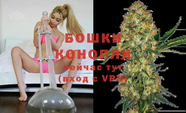круглые Вяземский