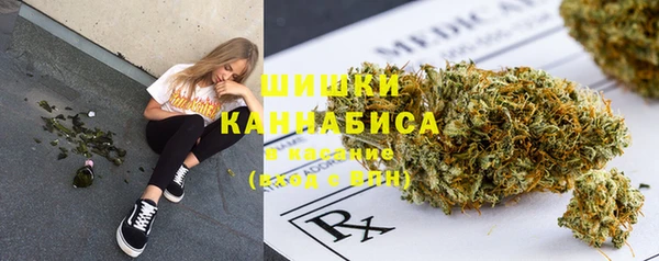 сатива Вязьма
