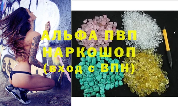 сатива Вязьма