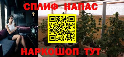 spice Обь