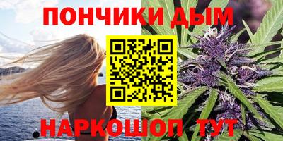 spice Обь