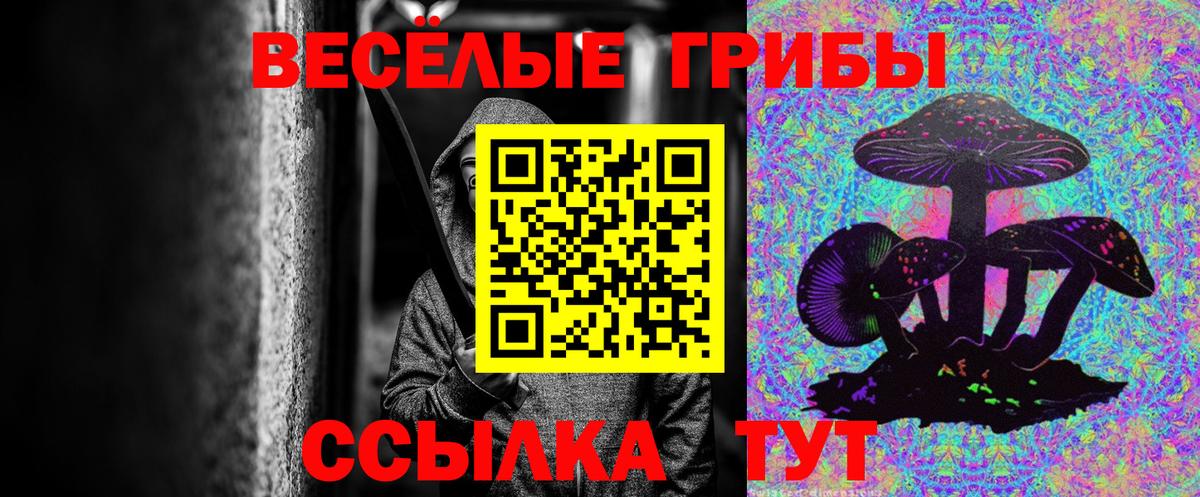 Псилоцибиновые грибы прущие грибы Маркс