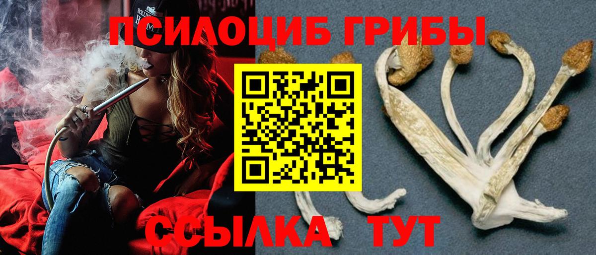 Маркс  Галлюциногенные грибы прущие грибы  Вход с VPN  Галлюциногенные грибы мухоморы 